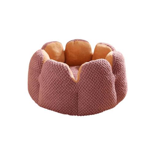 Caminha Para Gato - Saurshop