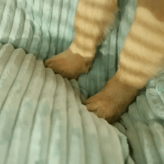 Colchão Pet - Saurshop